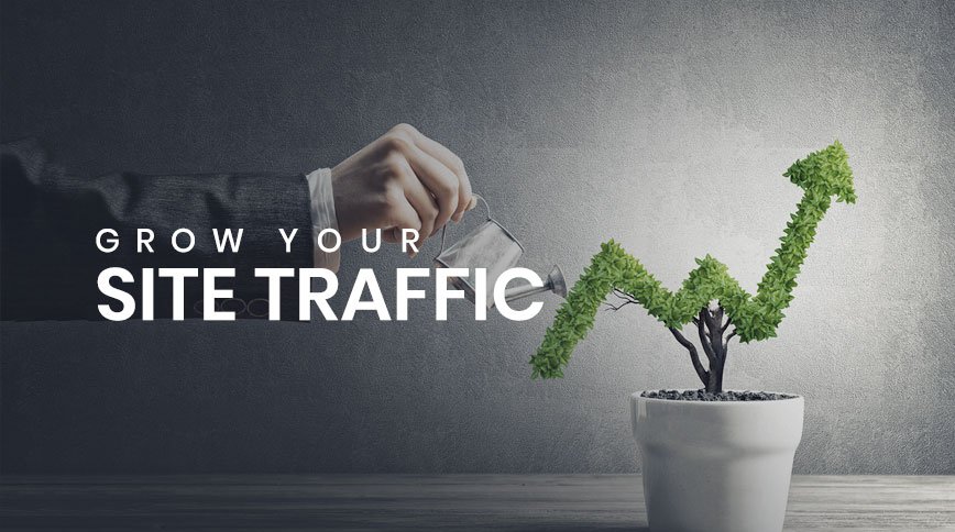 How to Grow Your Site Traffic Organically in 2019?
