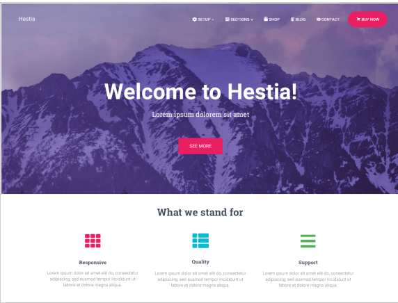 Hestia - Best responsive WordPress themes